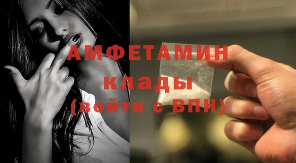 прущие грибы Тайга