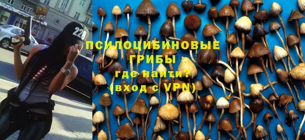 дмт Осташков