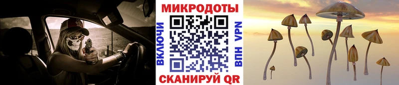 Псилоцибиновые грибы Magic Shrooms  сайты даркнета формула  Боровичи 