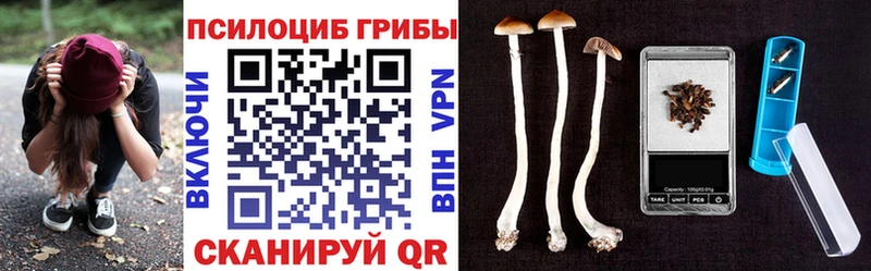 Псилоцибиновые грибы Psilocybine cubensis Боровичи