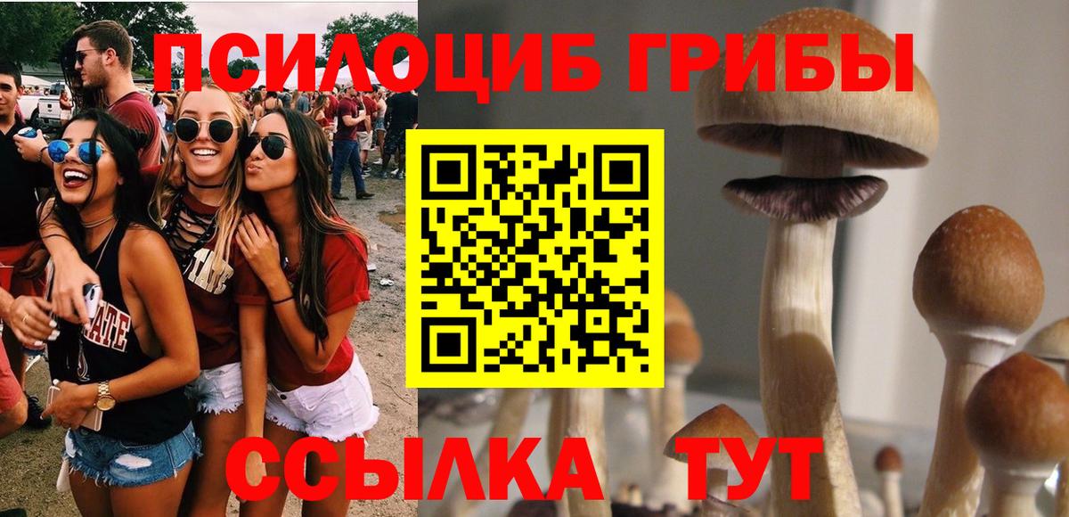 Псилоцибиновые грибы мухоморы  Вход с VPN  Боровичи 