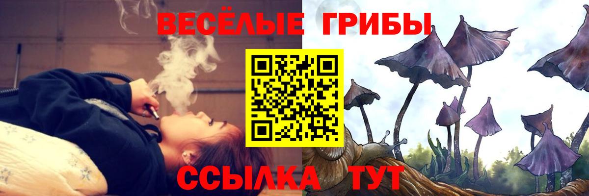 Псилоцибиновые грибы Cubensis Боровичи