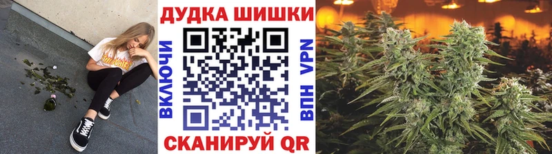 Бошки Шишки THC 21%  где можно купить наркотик  Боровичи 